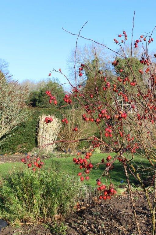 Waterperry Gardens